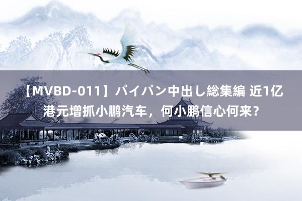 【MVBD-011】パイパン中出し総集編 近1亿港元增抓小鹏汽车，何小鹏信心何来？