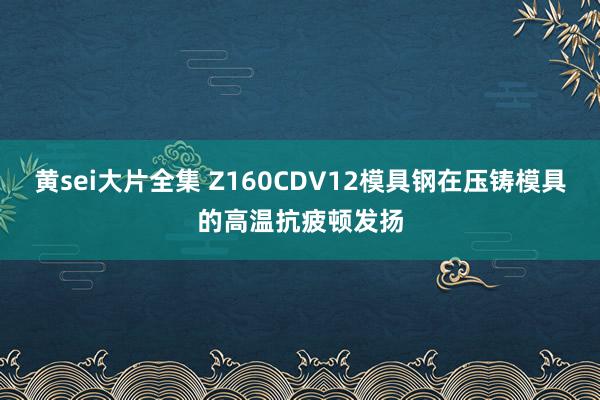 黄sei大片全集 Z160CDV12模具钢在压铸模具的高温抗疲顿发扬