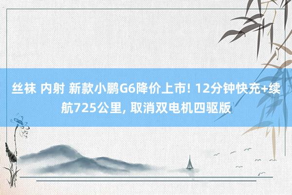 丝袜 内射 新款小鹏G6降价上市! 12分钟快充+续航725公里, 取消双电机四驱版
