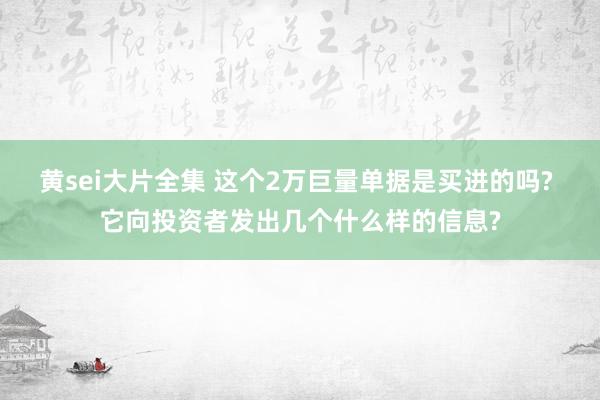 黄sei大片全集 这个2万巨量单据是买进的吗? 它向投资者发出几个什么样的信息?